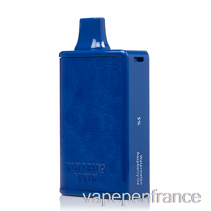 Horizon Binaires Cabine 10000 Stylo Jetable De Vape De Glace De Framboise De Pastèque